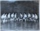 Cobden District High School Sr. Girls Basketball team, 1959
L-R: Edna Sly, Mary Cunningham, Yvonne Keuhl,  Evelyn May, Joan Bennett,  Diana Graham. Judy Simmons, June Humphries, Mary Garneau,  Dorothy MacLaren.     