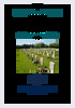 Costello, Pte. Wilson Adison CWGC certificate Costello, Pte. Wilson Adison CWGC certificate