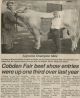 CHx-Cobden Fair Beef Show, 1995 - Brian Coughlin entry was supreme champion male