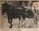 FFHx-Forester\'s Falls celebrates it\'s Centennial - Bill Byce in parade