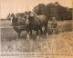 01617-Tripp, Gordon - ploughing with team of horses 01617-Tripp, Gordon - ploughing with team of horses