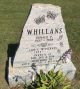 Gravestone-Whillans, Donald & Lois nee McInerney
