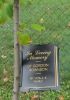 Gravestone-Robinson, Gordon - tree planted in memory