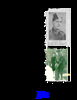 Coleman, Lt. George Richard Kitchener military service summary