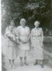 4 Generations: Elda Bennett nee Pettigrew with Larry; Ada Pettigrew nee Byce; Annie Byce nee Robinson