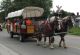 Keith & Ruby BENNETT float in 175 Beachburg Anniversary parade