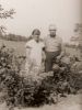 01617-Moxam, James & Hester nee Grant 01617-Moxam, James & Hester nee Grant