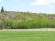 RC-Trees leafing out on the mountain