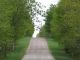 RC-Rural road in springtime