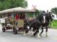 VILLAGE OF BEACHBURG 175th Anniversary - Vereyken float (Beach descendants)