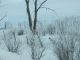 W-Winter Rural Scene in Westmeath Township