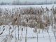 W-Winter Rural Scene in Westmeath Township